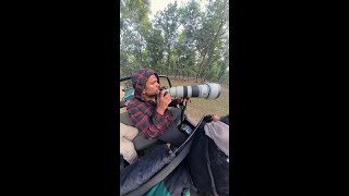 Unseen In The Jungle A Moment Of Majesty