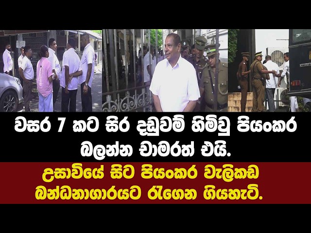 වසර 7 කට සිර දඩුවම් හිමිවු පියංකර බලන්න චාමර එයි.උසාවියේ සිට වැලිකඩ බන්ධනාගාරයට රැගෙන ගියහැටි.