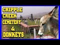 Cripple Creek Cemetery & Donkeys!