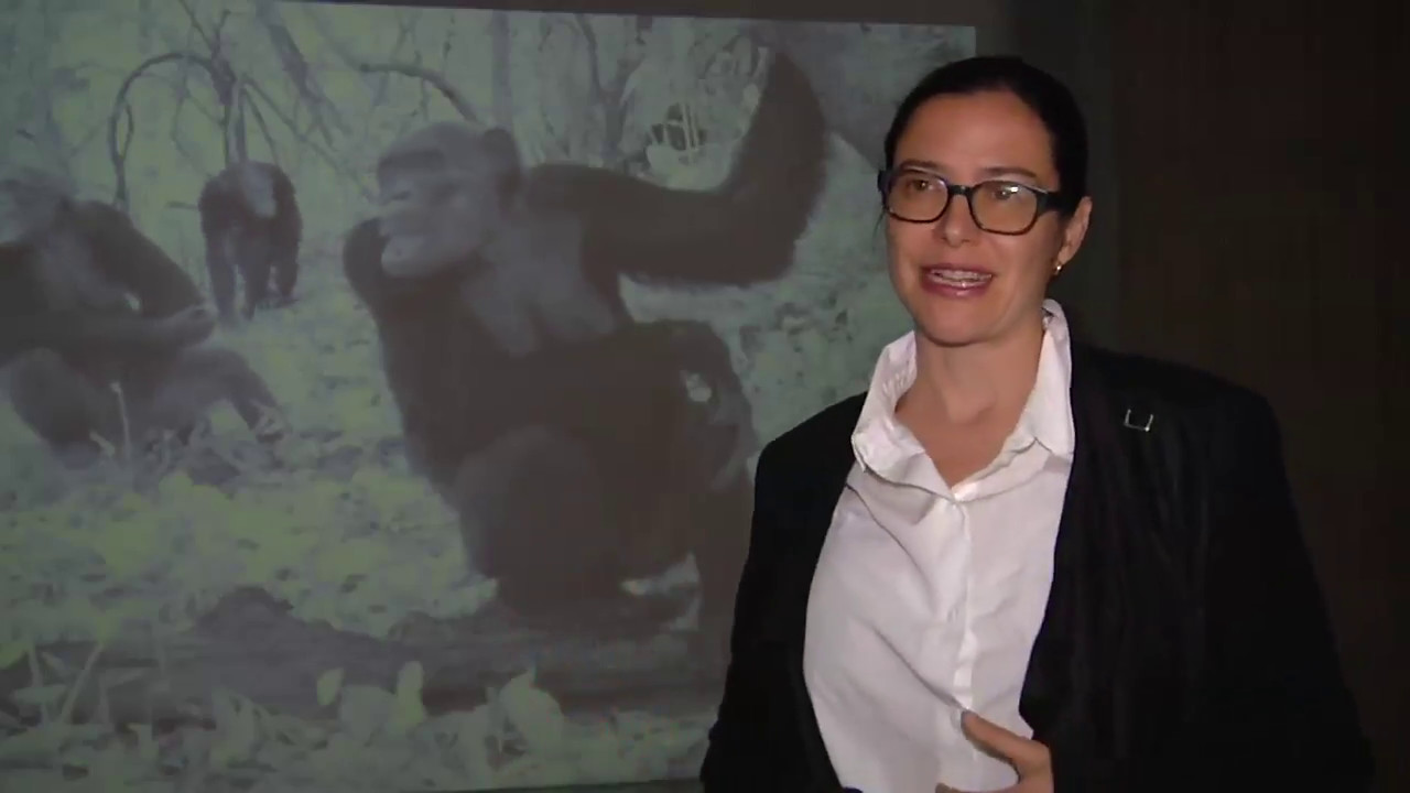 La artista Amalia Pica nos cuenta sobre su nueva exposición de arte. cultural care au pair