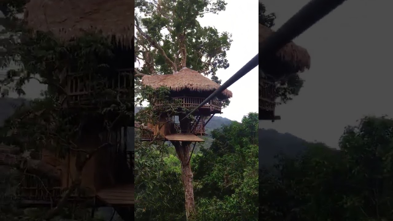 Gibbon Experience YouTube