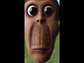 vs. Obunga #4