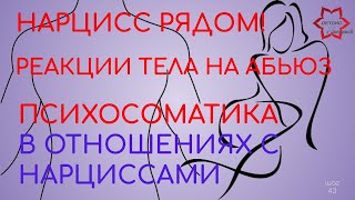видео: Нарцисс рядом! Психосоматика при абьюзе. Как наш организм реагирует на нарциссов? картинка: Нарцисс рядом! Психосоматика при абьюзе. Как наш организм реагирует на нарциссов?