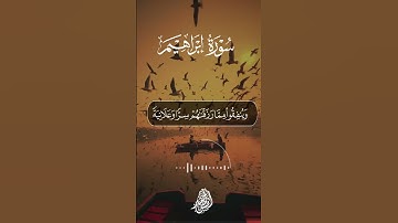 وينفقوا مما رزقناهم سرا وعلانية💗 | القارئ أنس أحمد