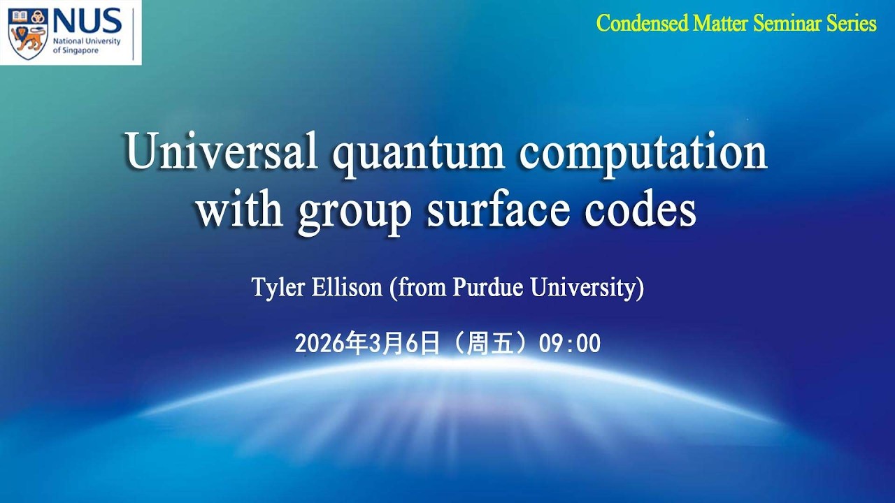 Universal quantum computation with group surface codes