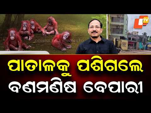 Where Are Digha Hotelier Father-Son Duo Hiding? Odisha STF Hunt Continues