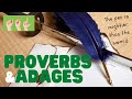 Understanding Proverbs and Adages