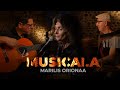 Marilis orionaa  la musicala