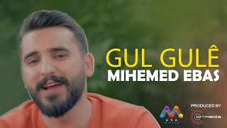 Mihemed Ebas - Gul Gule محه‌ممه‌د عه‌باس - گول گولێ