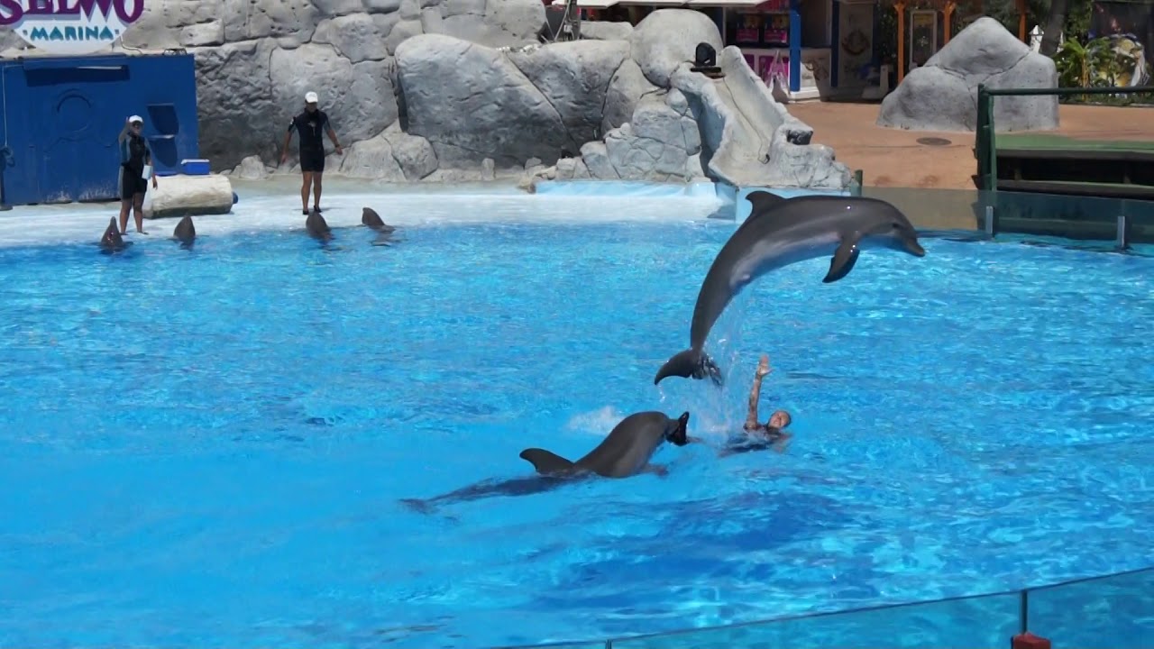 SELWO MARINA BENALMADENA SPAIN