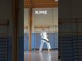 KIME Pinan Shodan