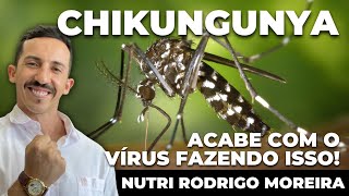 Vírus da Chikungunya como ACABAR com ele dentro do seu CORPO | Nutri Rodrigo Moreira