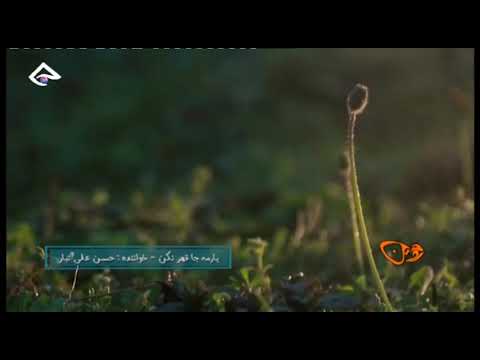 ترانه شاد مازندرانی با زیرنویس مازندرانی یار مه جا قهر نکن