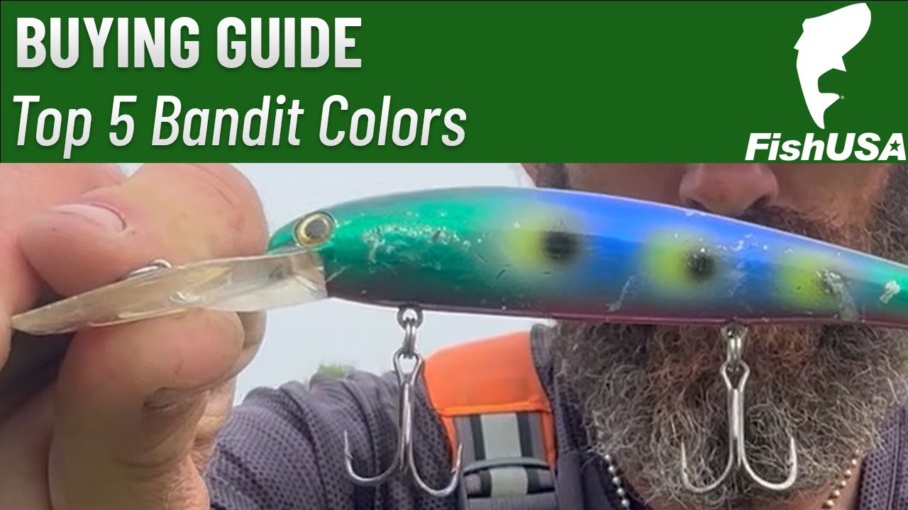 The TOP 5 Bandit Walleye Deep Diver Colors for Fishing Lake Erie 