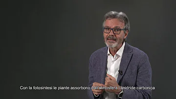 Che cosa significa il termine biodegradabile?