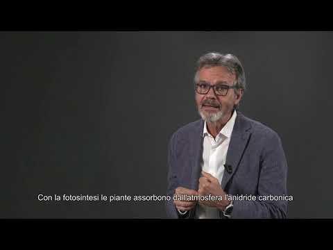 Video: Cosa Significa Allagare