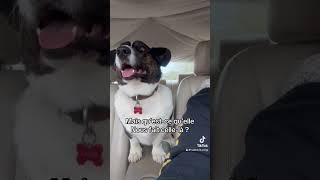 Pas Dinquiétude, Cest Un Chemin Privé, Il Na Le Droit De Faire Ça Quici