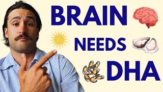 Critical role of Omega-3 DHA in brain evolution - doctor explains.