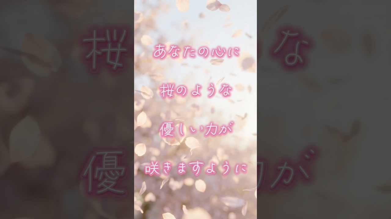 桜が満開です。桜には人を癒し、エネルギーを高めてくれる力があります。桜を感じてください。#桜　#桜ソング　#癒しの音楽 #春の歌