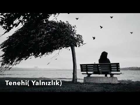 Ergin Xelîkan  - Tenehî (Yalnizlik)