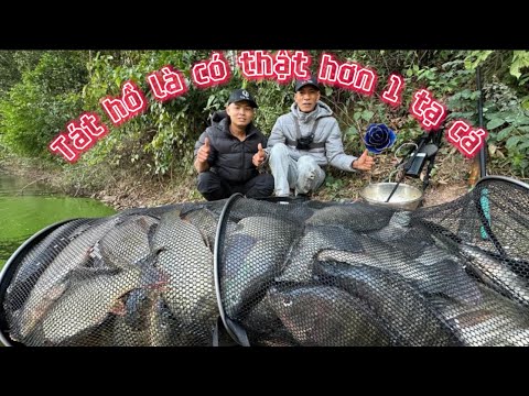 Chắc Chủ Hồ Lần Sau Cấm Không Cho Câu.. 1 Triệu Bắt Hơn 1 Tạ Cá