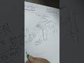 Mechanism of Formation of Concentrated Urine