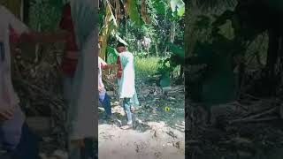 Please Send Subscribe My Channel 2