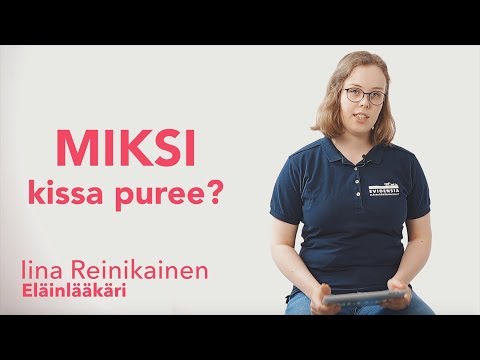 Video: Pureeko kissa kirppu?