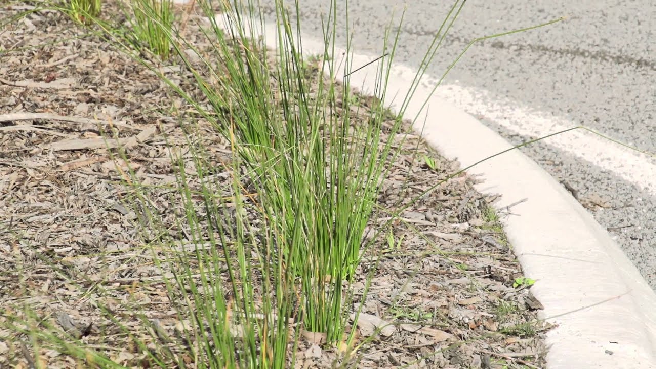 District Council of Elliston Community Partnership