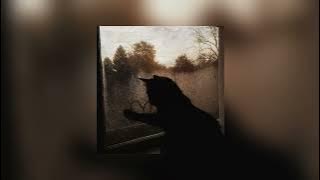 charli xcx - Everything is romantic × fall in love again and again(TikTok version)slowed×reverb 