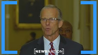Senate GOP elects John Thune as majority leader | NewsNation Now