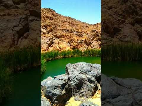 يحلفون بالله ما قالوا ولقد قالوا كلمة الكفر وكفروا بعد إسلامهم سورة التوبة 74