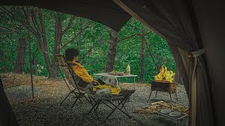 In a Rainy Forest, Camping with a Dog