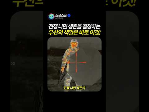전쟁 나면 생존을 결정하는 우산의 색깔 thumbnail