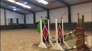 2014  Holsteiner mare dark gey flatwork