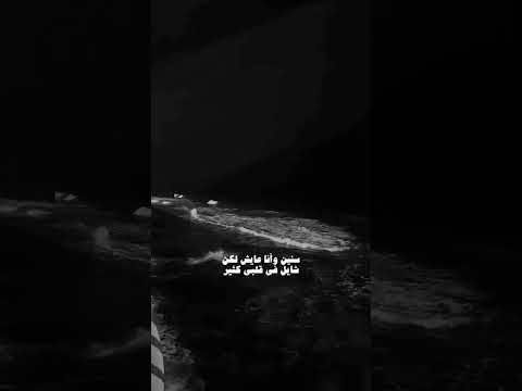 في مين يموت عادي وائل جسار