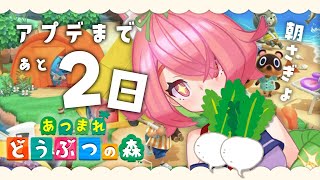【あつ森】おはよお～【にじさんじ/安土桃】