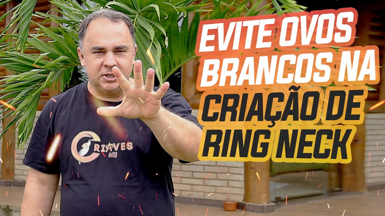 5 DICAS PARA EVITAR OVOS BRANCOS