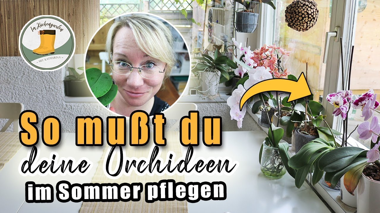 🥒 Was tun mit zu großen Zucchini?? Probiert mein REZEPT | 🌺 So überstehen deine Orchideen den Urlaub