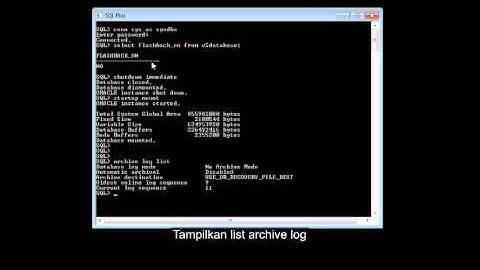 How to Flashback in oracle 11g
