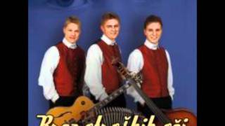 Mladi Dolenjci - Praznik Muzike