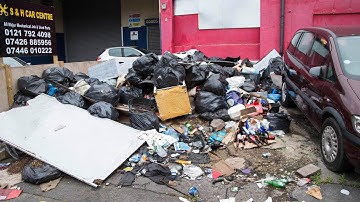 Bin Street Crawling With Maggots
