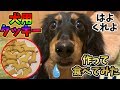 笑う犬に犬用カボチャクッキー食べさせてみた＆人間(ブス)が味見してみたら…