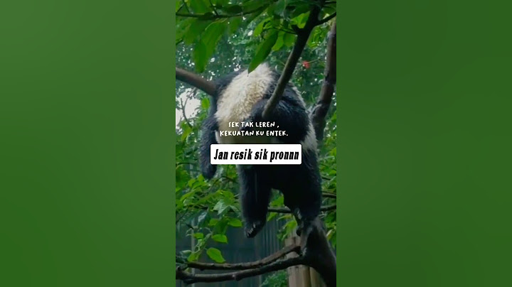 awak kesel Yo leren