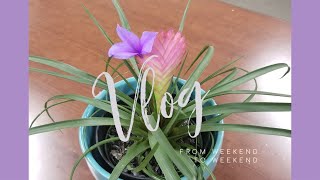 Vlog - From weekend to weekend