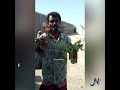 في المخا الخوعة والبسباس تباع بألحان الفنان فيصل علوي 