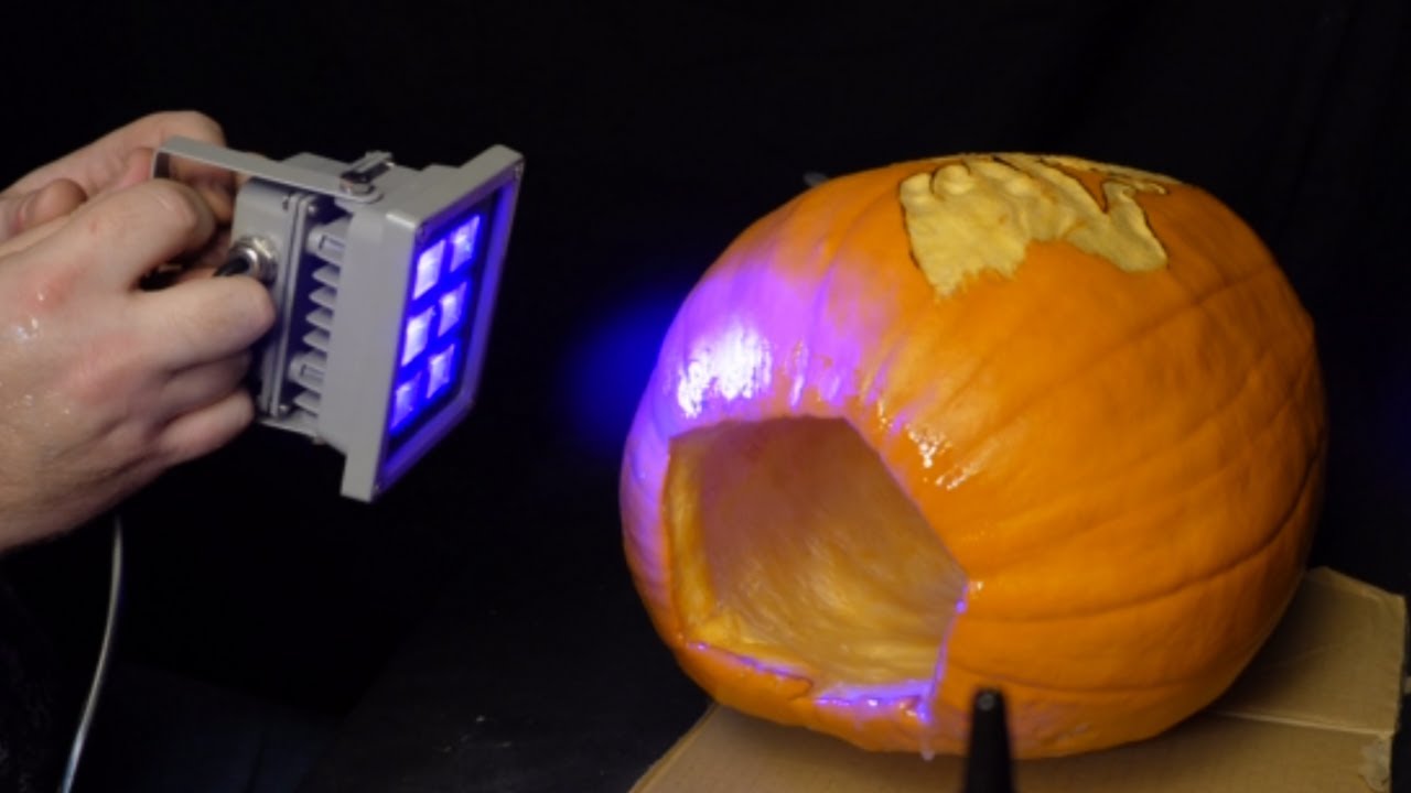 How To Have A Carved Pumpkin Last Longer How To Have A Carved Pumpkin Last Longer