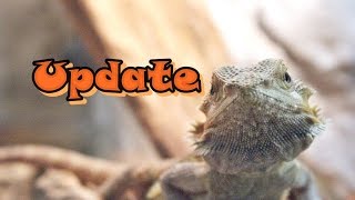 Reptile Expo Coming Soon~Update Video[HD]