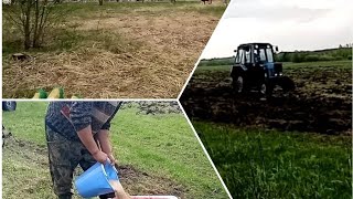 Загон для быков за 1т. рублей /посеял траву🌱🌾