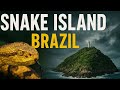 No Humans Allowed: The Deadliest Island on Earth! || Snake Island brazil || The Arman